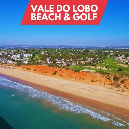 - Spacious With Swimming Pool & View